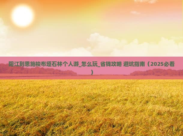 阳江到恩施梭布垭石林个人游