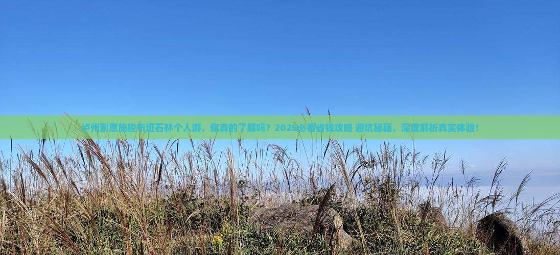 泸州到恩施梭布垭石林个人游