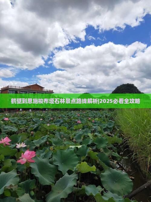 鹤壁到恩施梭布垭石林景点