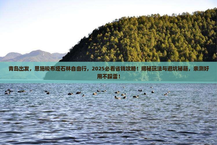 青岛去恩施梭布垭石林自由行