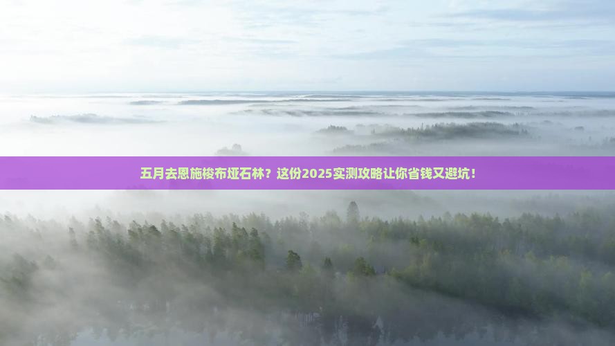五月到恩施梭布垭石林旅行社