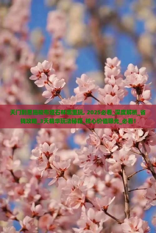 天门到恩施梭布垭石林哪里玩