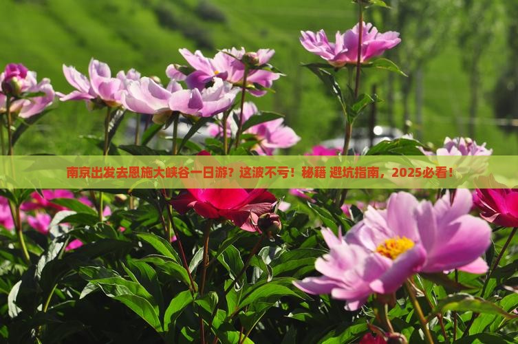 南京去恩施大峡谷一日