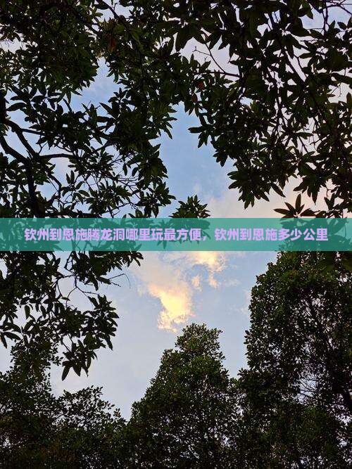钦州到恩施腾龙洞哪里玩