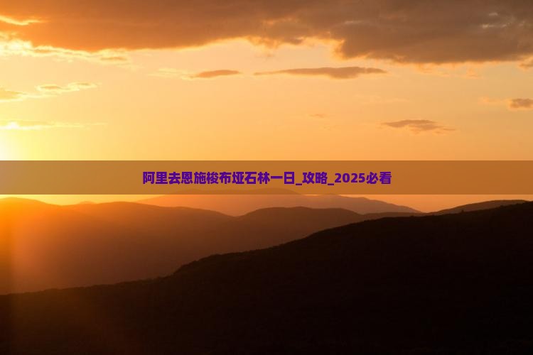 阿里去恩施梭布垭石林一日