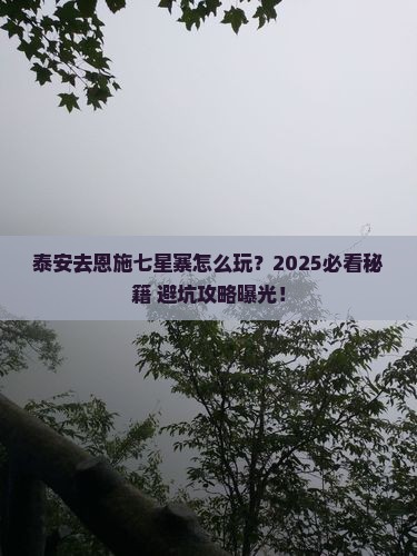 泰安去恩施七星寨哪里玩