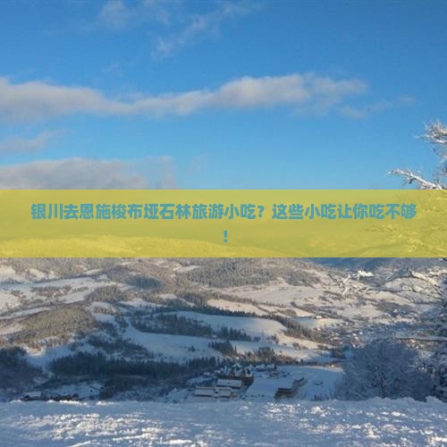 银川去恩施梭布垭石林旅游小吃