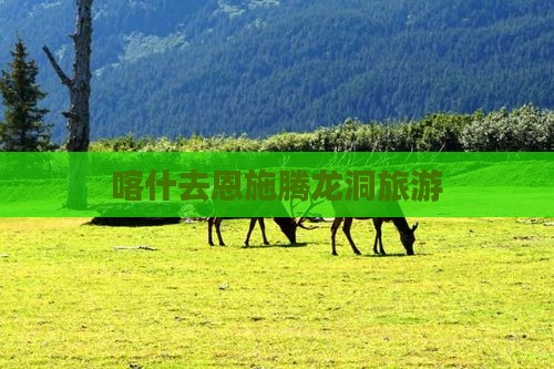 喀什去恩施腾龙洞旅游
