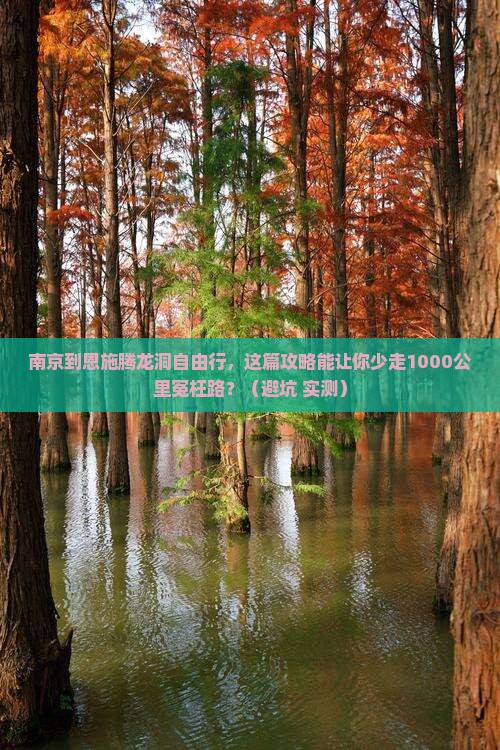 南京到恩施腾龙洞自由行