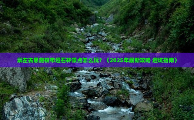 崇左去恩施梭布垭石林景点