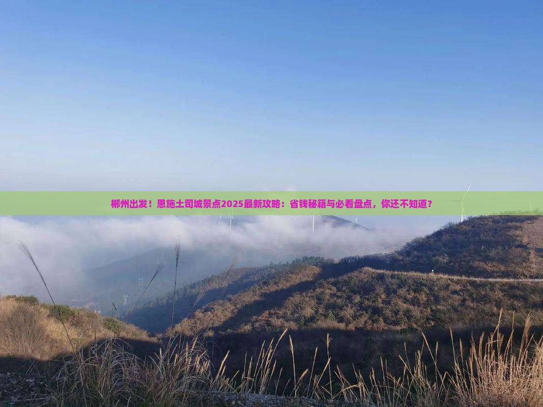 郴州去恩施土司城景点