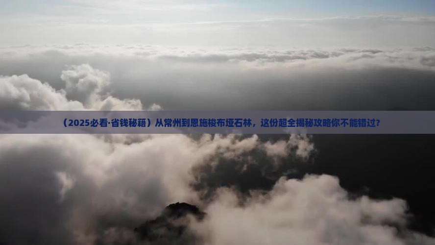 常州去恩施梭布垭石林景点