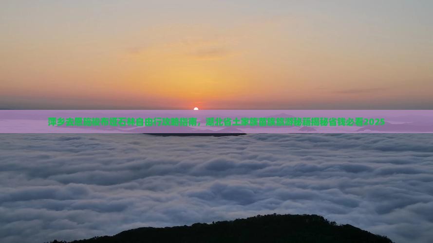 萍乡去恩施梭布垭石林自由行