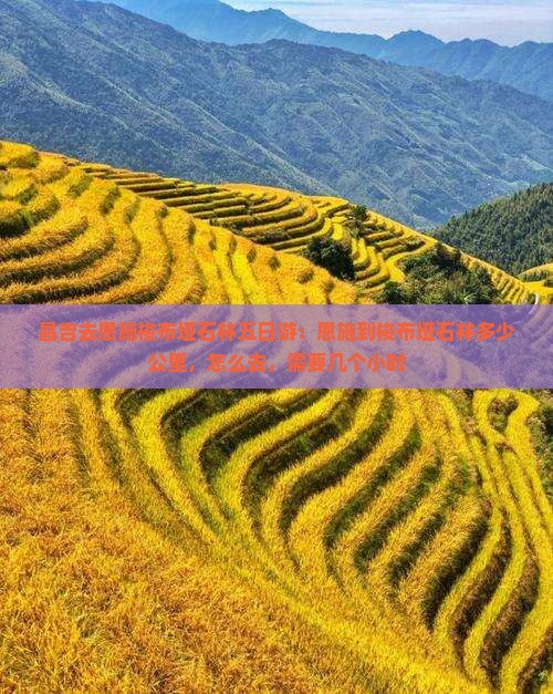 昌吉去恩施梭布垭石林五日游