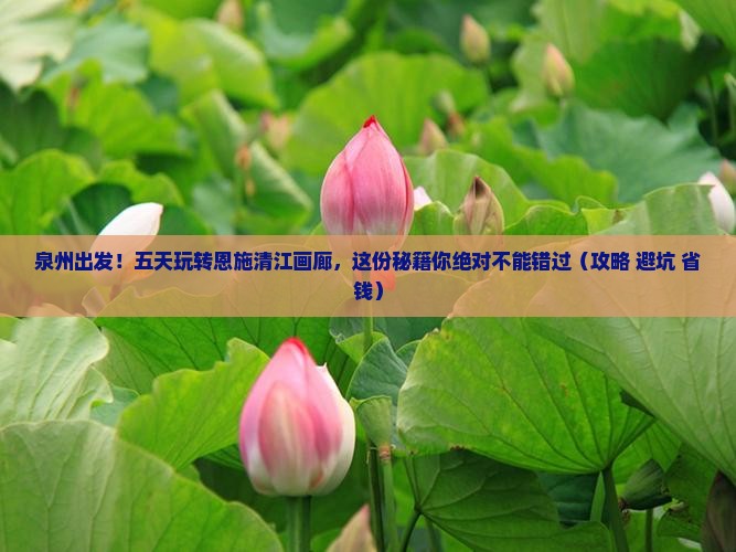 泉州到恩施清江画廊五日游