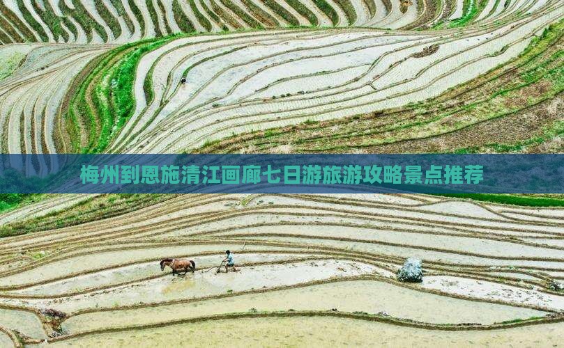 梅州到恩施清江画廊七日游