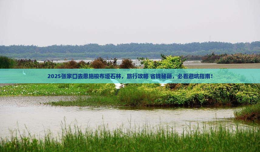 张家口去恩施梭布垭石林旅行社 张家口去恩施梭布垭石林旅行社