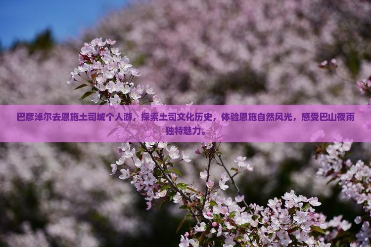 巴彦淖尔去恩施土司城个人游
