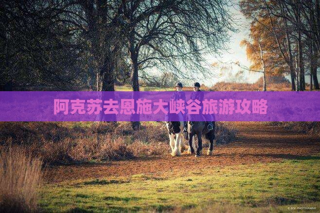 阿克苏去恩施大峡谷团体旅游