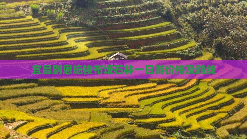 宜昌到恩施梭布垭石林一日