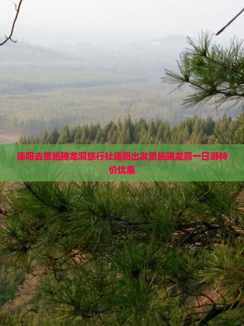 德阳去恩施腾龙洞旅行社
