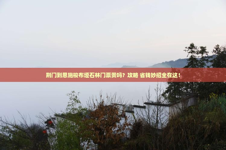 荆门到恩施梭布垭石林门票