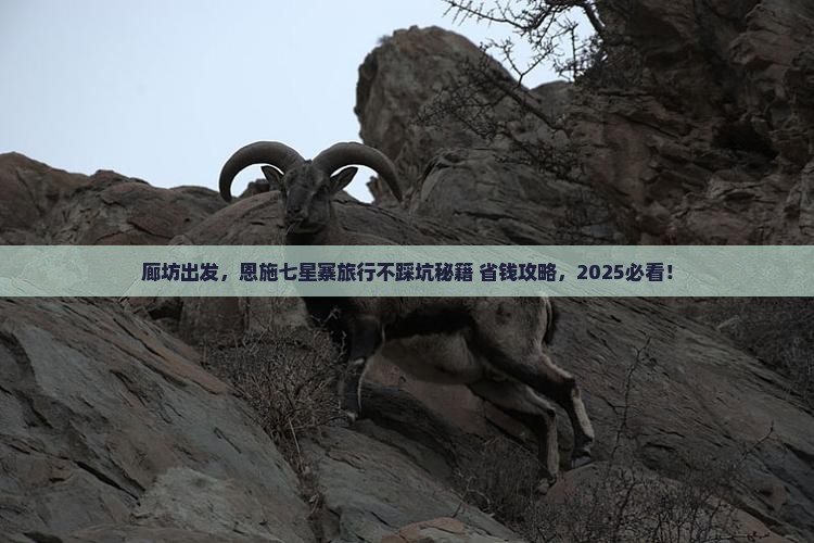 廊坊到恩施七星寨旅行社