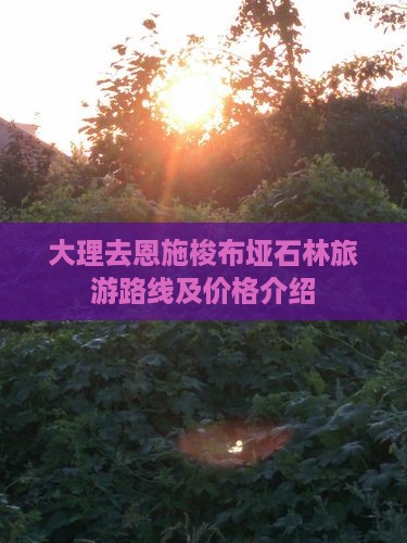 大理去恩施梭布垭石林旅游