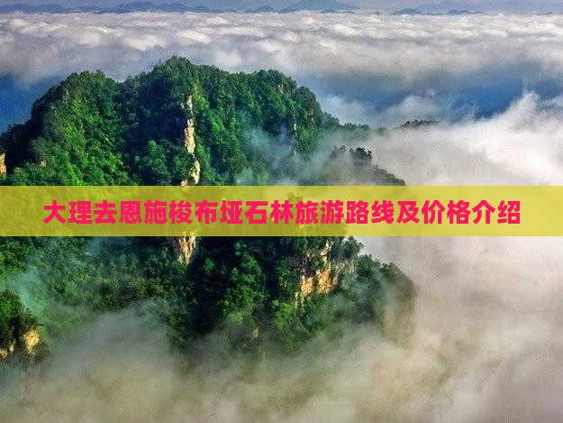 大理去恩施梭布垭石林旅游