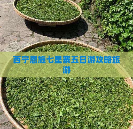 西宁到恩施七星寨五日游