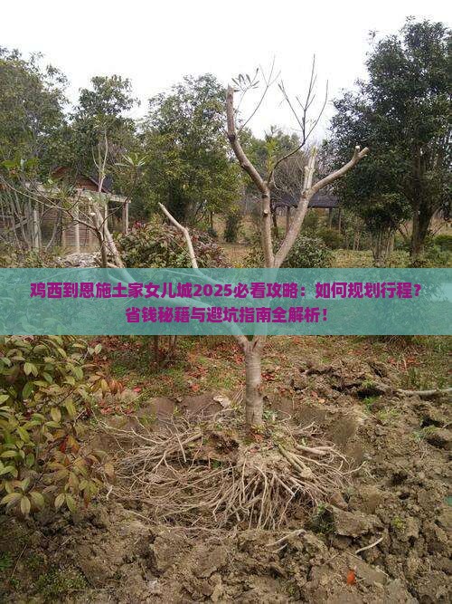 鸡西到恩施土家女儿城旅行社