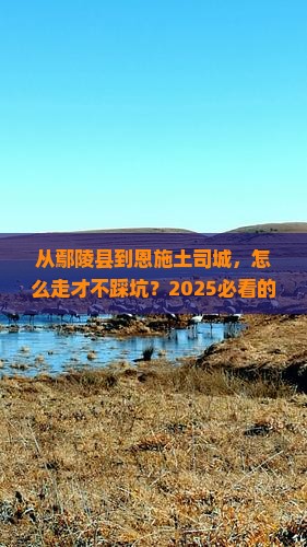 鄢陵县去恩施土司城景点