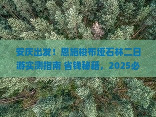 安庆去恩施梭布垭石林二日游