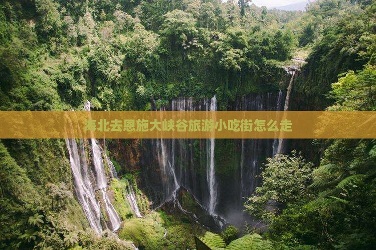 海北去恩施大峡谷旅游小吃