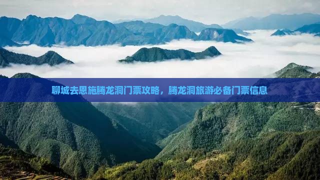 聊城去恩施腾龙洞门票
