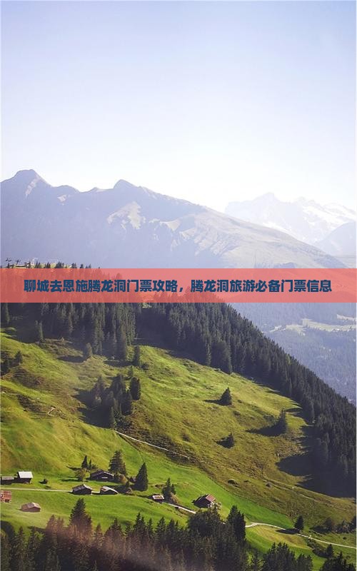 聊城去恩施腾龙洞门票