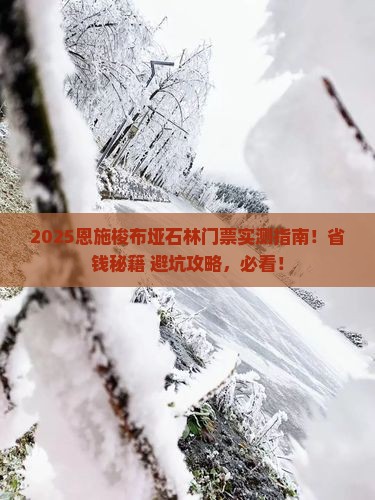 遂宁去恩施梭布垭石林门票