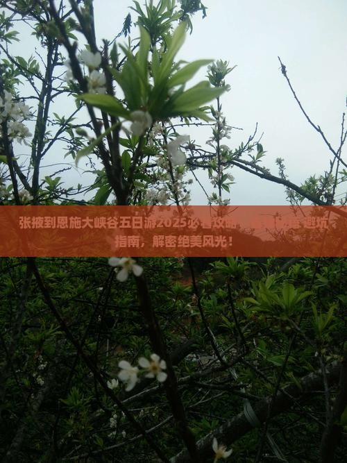 张掖到恩施大峡谷五日游