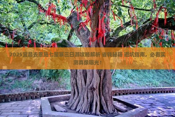 宜昌去恩施七星寨三日游