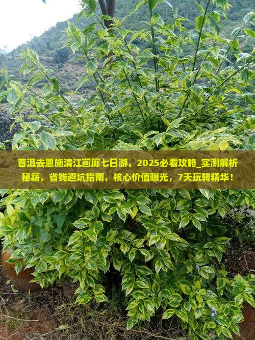 普洱去恩施清江画廊七日游