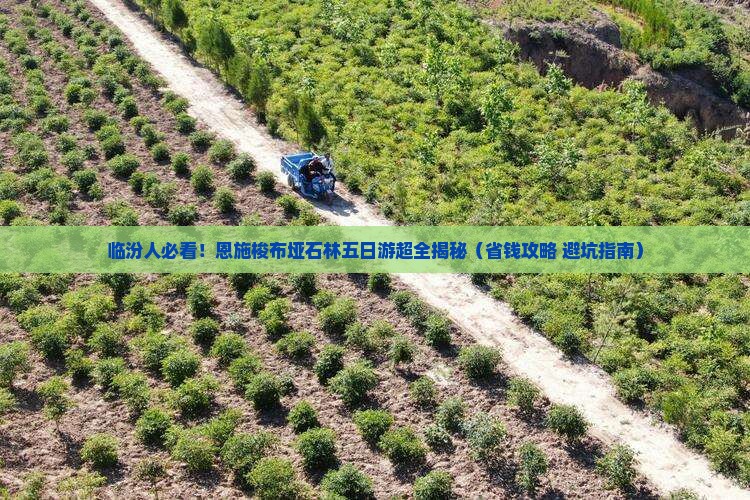 临汾到恩施梭布垭石林五日游 临汾到恩施梭布垭石林五日游