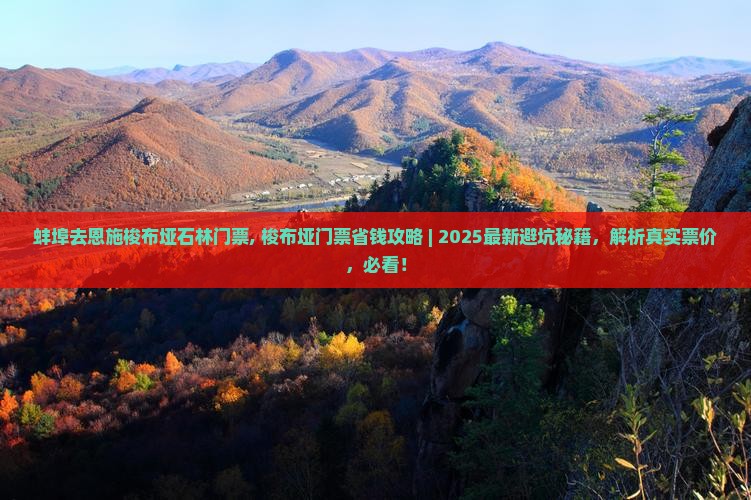 蚌埠去恩施梭布垭石林门票