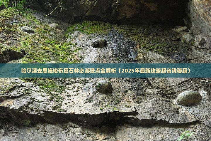 哈尔滨去恩施梭布垭石林必去地
