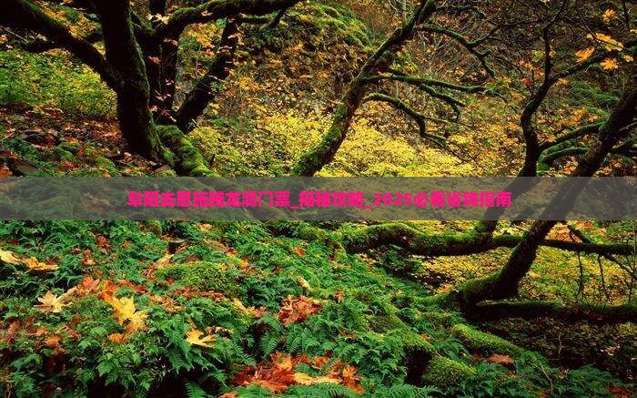 阜阳去恩施腾龙洞门票