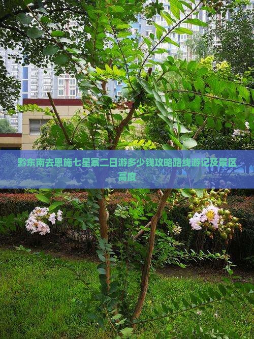 黔东南去恩施七星寨二日游