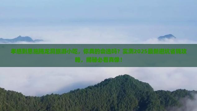 孝感到恩施腾龙洞旅游小吃