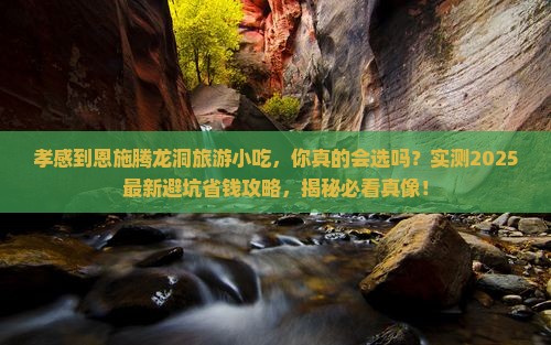 孝感到恩施腾龙洞旅游小吃