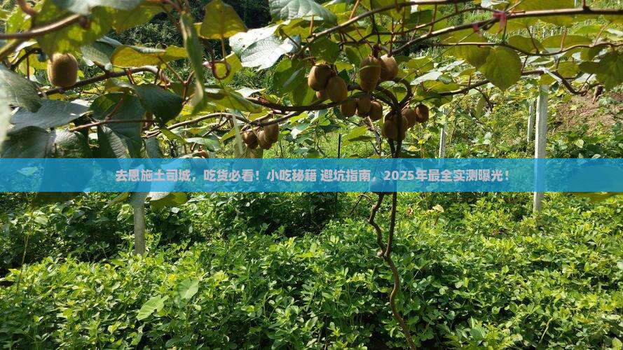 国庆节到恩施土司城旅游小吃