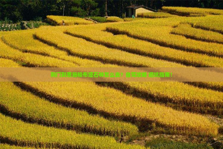 荆门到恩施梭布垭石林旅游