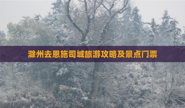 滁州去恩施土司城门票